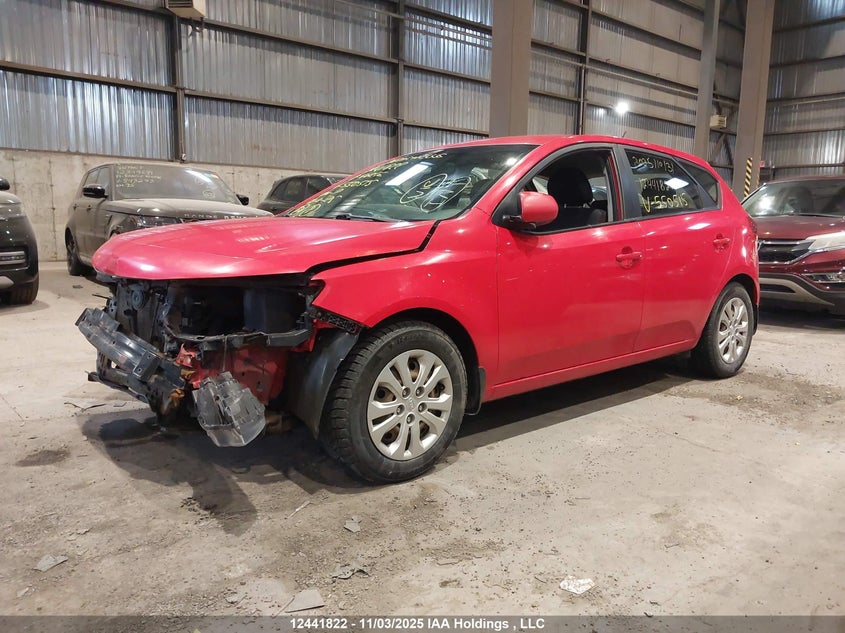 KNAFT5A24C5550515 2012 KIA FORTE photo no. 2