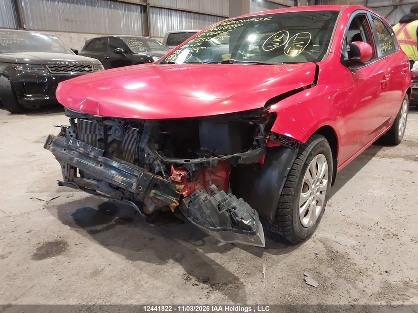 2012 Kia Forte Lx VIN: KNAFT5A24C5550515 Lot: 12441822