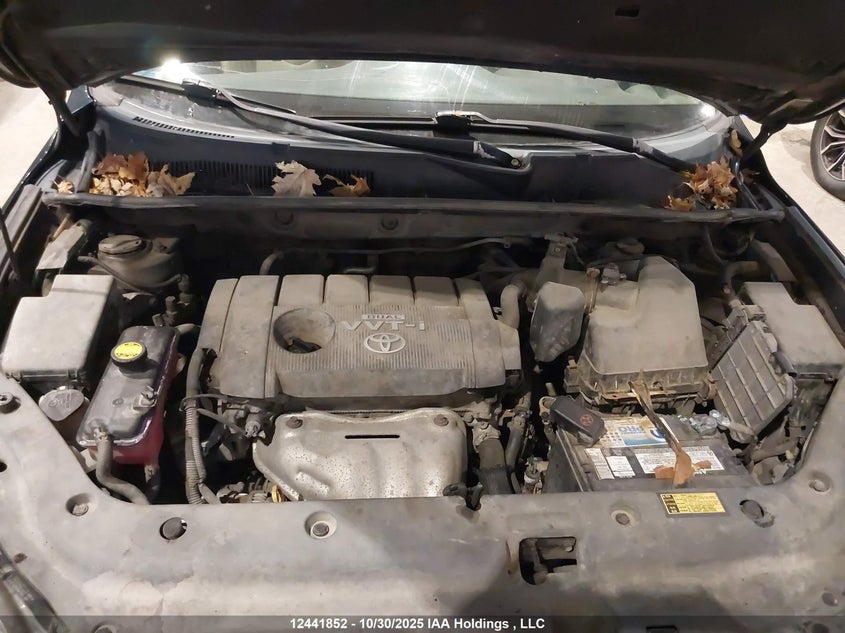 2009 Toyota Rav4 VIN: 2T3BF33V89W009084 Lot: 12441852