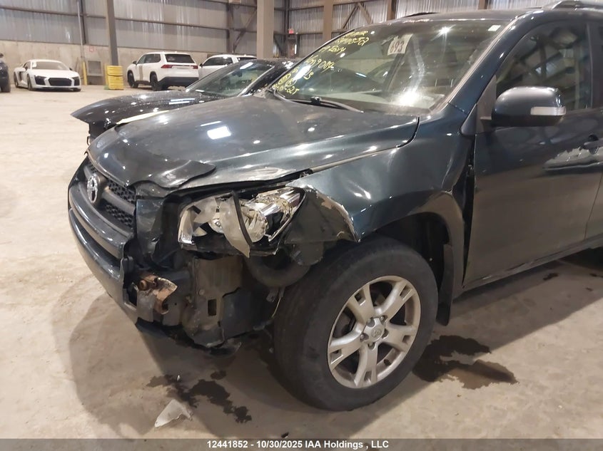 2009 Toyota Rav4 VIN: 2T3BF33V89W009084 Lot: 12441852