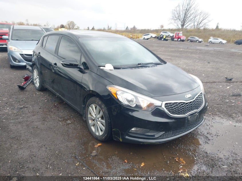 KNAFK5A88G5657855 2016 KIA FORTE photo no. 7