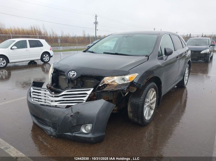 2010 Toyota Venza VIN: 4T3ZA3BB7AU028847 Lot: 12442030