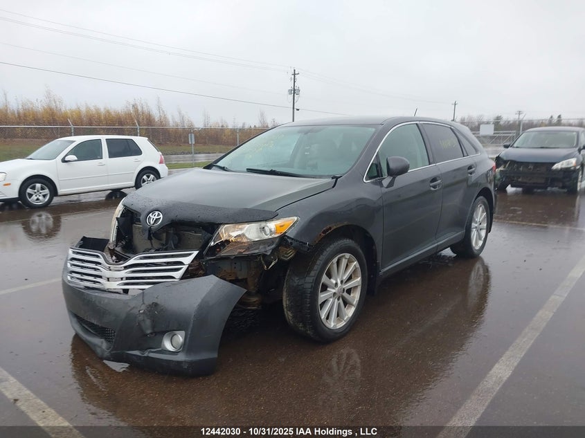 2010 Toyota Venza VIN: 4T3ZA3BB7AU028847 Lot: 12442030