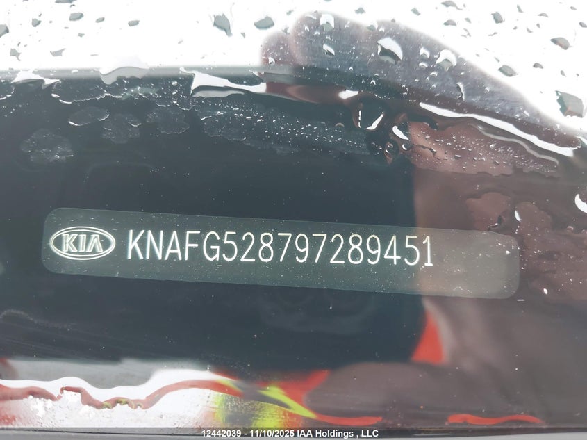 KNAFG528797289451 2009 KIA RONDO photo no. 18
