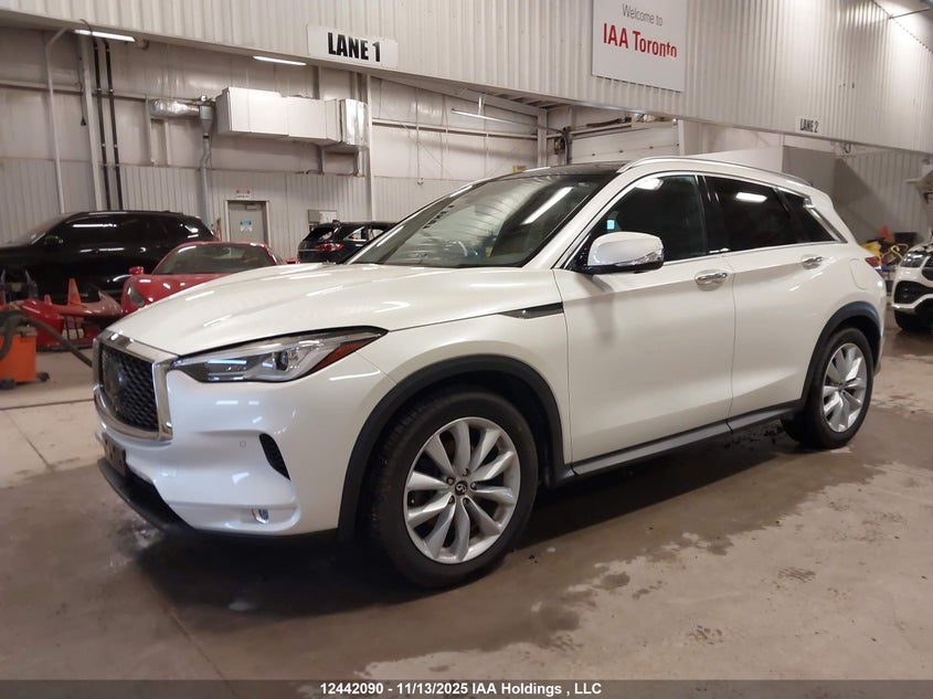3PCAJ5M37KF108106 2019 INFINITI QX50 photo no. 2