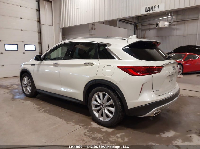 3PCAJ5M37KF108106 2019 INFINITI QX50 photo no. 3