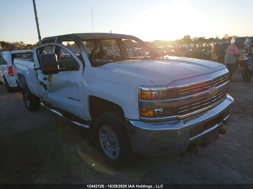 1GC1KUEG3HF135557 CHEVROLET SILVERADO Photo 1
