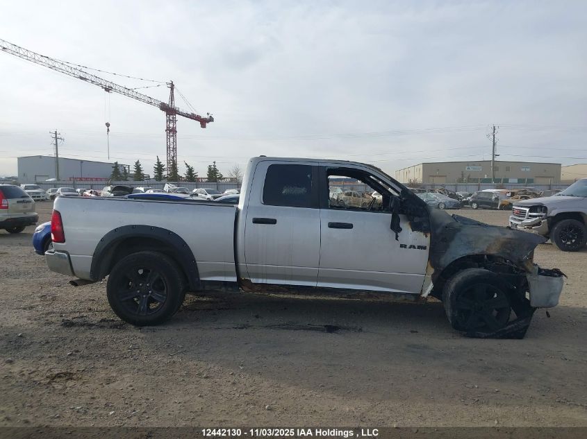 2010 Dodge Ram 1500 Slt/Sport/Trx VIN: 1D7RV1GT1AS253337 Lot: 12442130