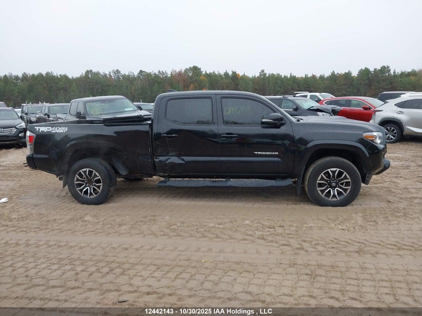 2022 Toyota Tacoma Double Cab/Sr5/Trd Sport/Trd Off Road VIN: 3TYDZ5BN3NT011774 Lot: 12442143