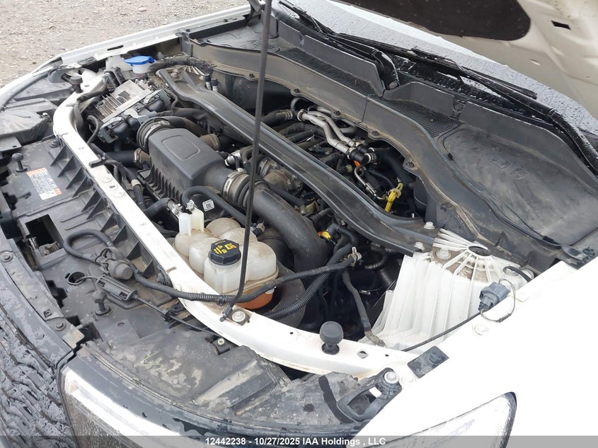 2022 Ford Explorer St VIN: 1FM5K8GC8NGA03480 Lot: 12442238