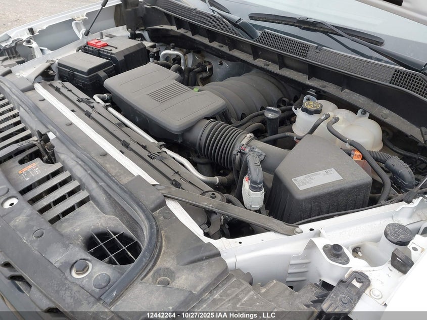 1GCPYCEF4LZ167564 2020 CHEVROLET SILVERADO photo no. 10