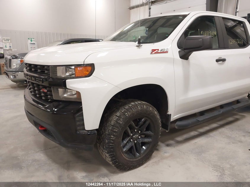 1GCPYCEF4LZ167564 2020 CHEVROLET SILVERADO photo no. 6