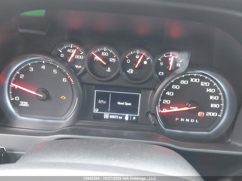 1GCPYCEF4LZ167564 2020 CHEVROLET SILVERADO photo no. 7