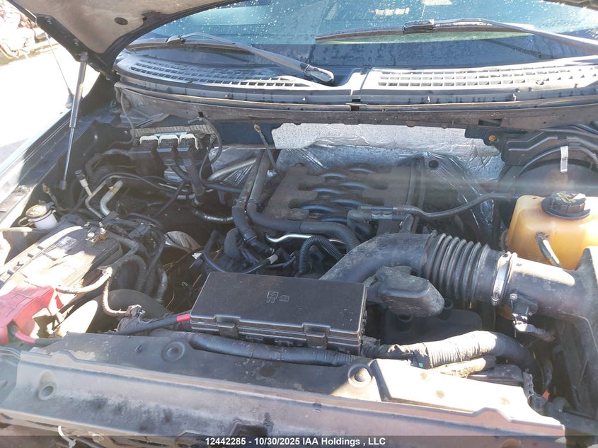 1FTFX1EF3BFA28383 2011 FORD F-150 photo no. 10