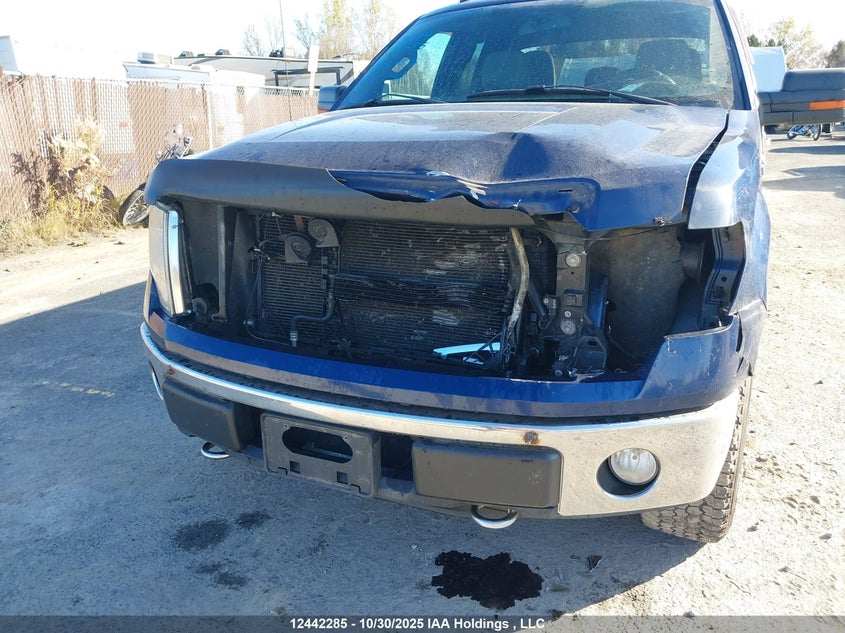 1FTFX1EF3BFA28383 2011 FORD F-150 photo no. 6