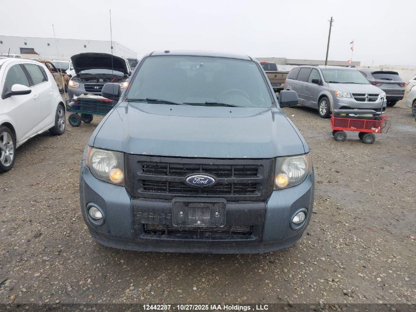 2011 Ford Escape Xlt VIN: 1FMCU9DG3BKB62429 Lot: 12442287