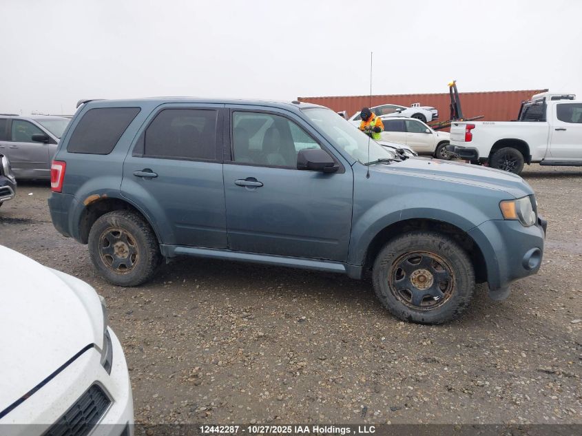 2011 Ford Escape Xlt VIN: 1FMCU9DG3BKB62429 Lot: 12442287