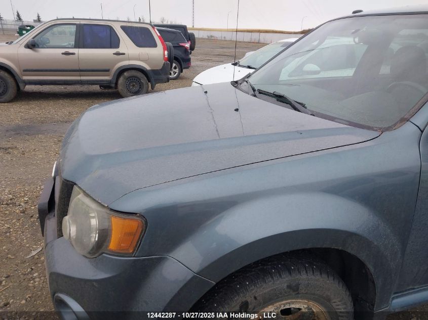 2011 Ford Escape Xlt VIN: 1FMCU9DG3BKB62429 Lot: 12442287