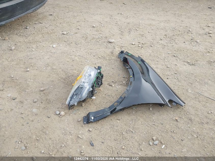 2017 Toyota Rav4 Limited/Se/Platinum VIN: 2T3DFREV7HW564096 Lot: 12442376