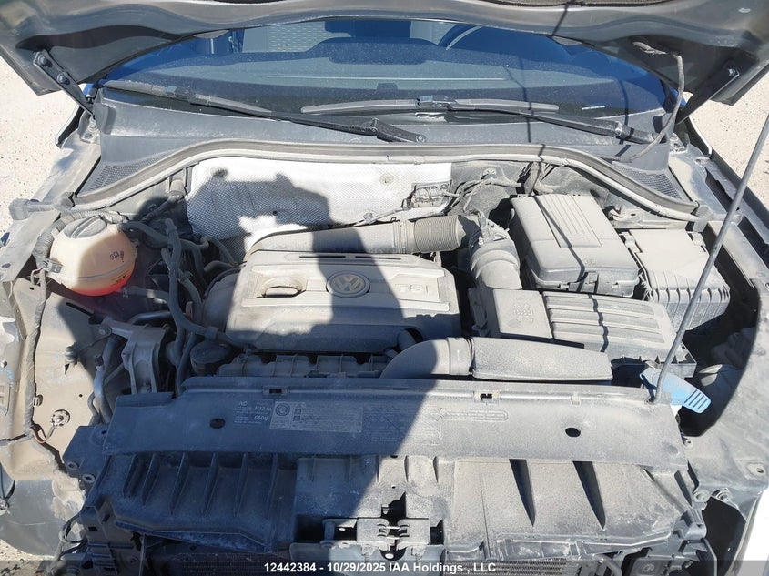 WVGBV7AX0AW514939 2010 VOLKSWAGEN TIGUAN photo no. 10