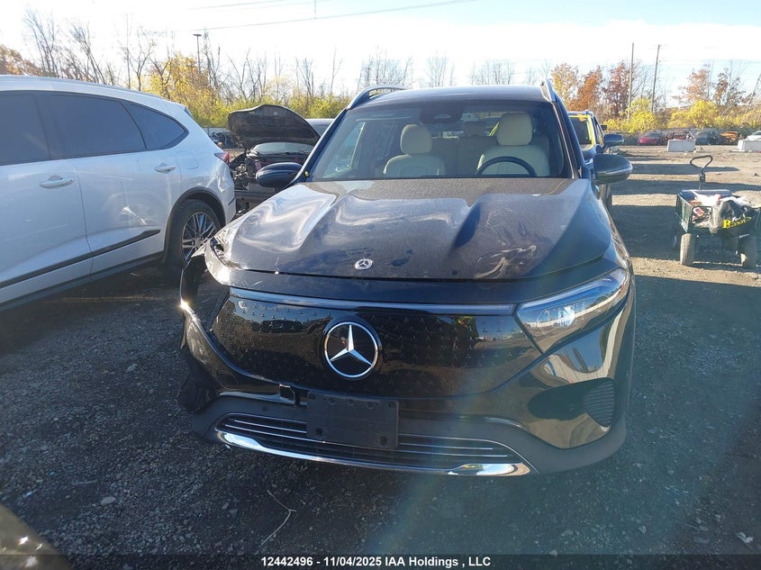 W1N9M0CB5RN092126 2024 MERCEDES-BENZ  photo no. 12