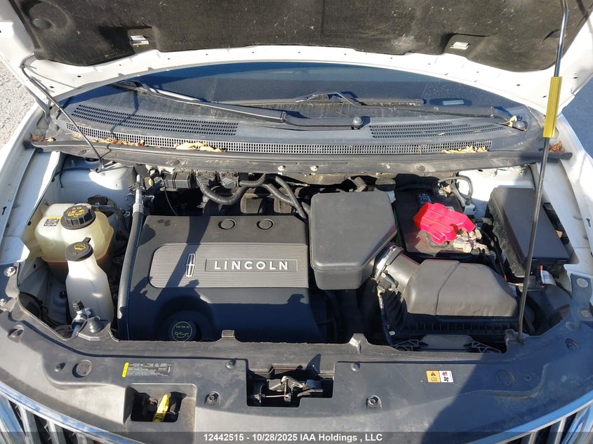 2LMDJ8JK2DBL48187 2013 LINCOLN MKX photo no. 10