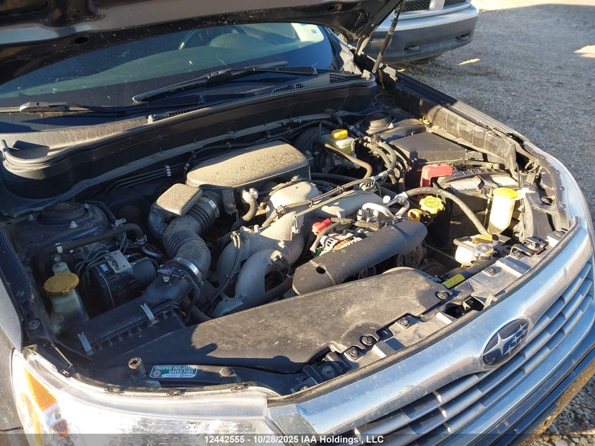 JF2SH6CC8AG757393 2010 SUBARU FORESTER photo no. 10