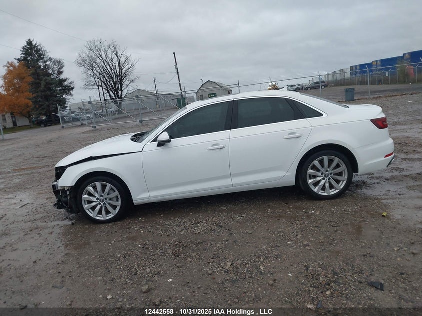 2019 Audi A4 45 Komfort VIN: WAUANAF42KN020503 Lot: 12442558