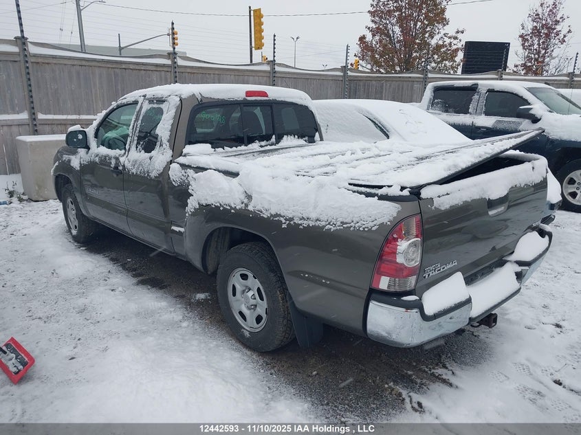 5TETX4CN7AZ687325 2010 TOYOTA TACOMA photo no. 3