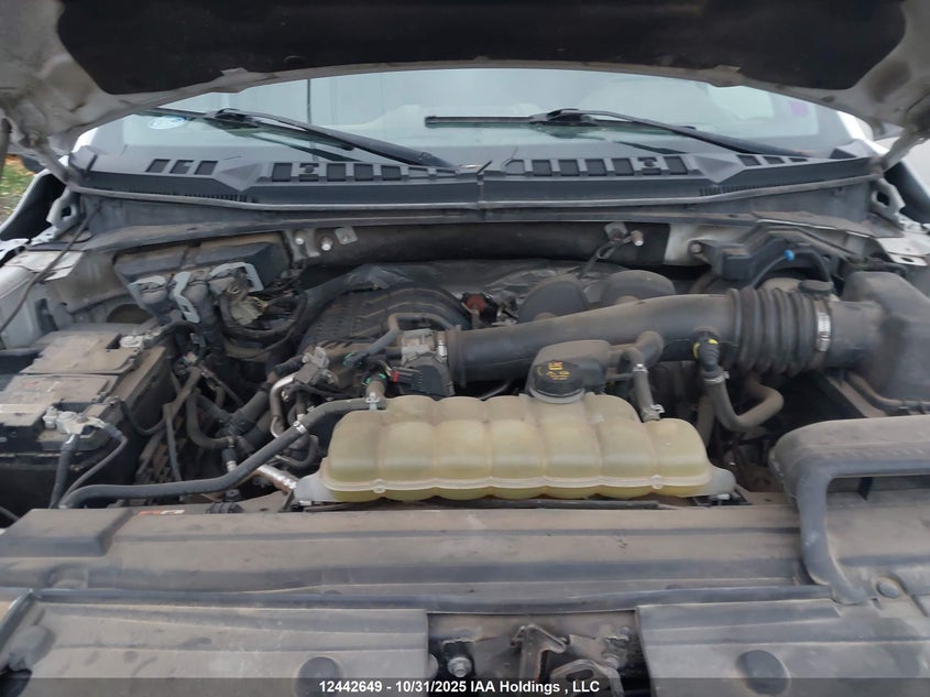 1FTEW1EBXKKF20444 2019 FORD F-150 photo no. 10