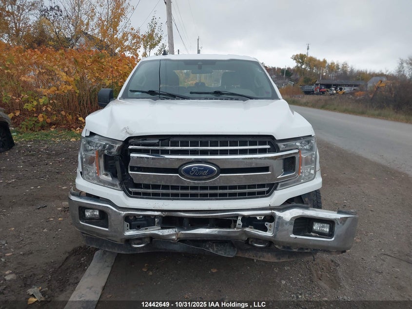1FTEW1EBXKKF20444 2019 FORD F-150 photo no. 12