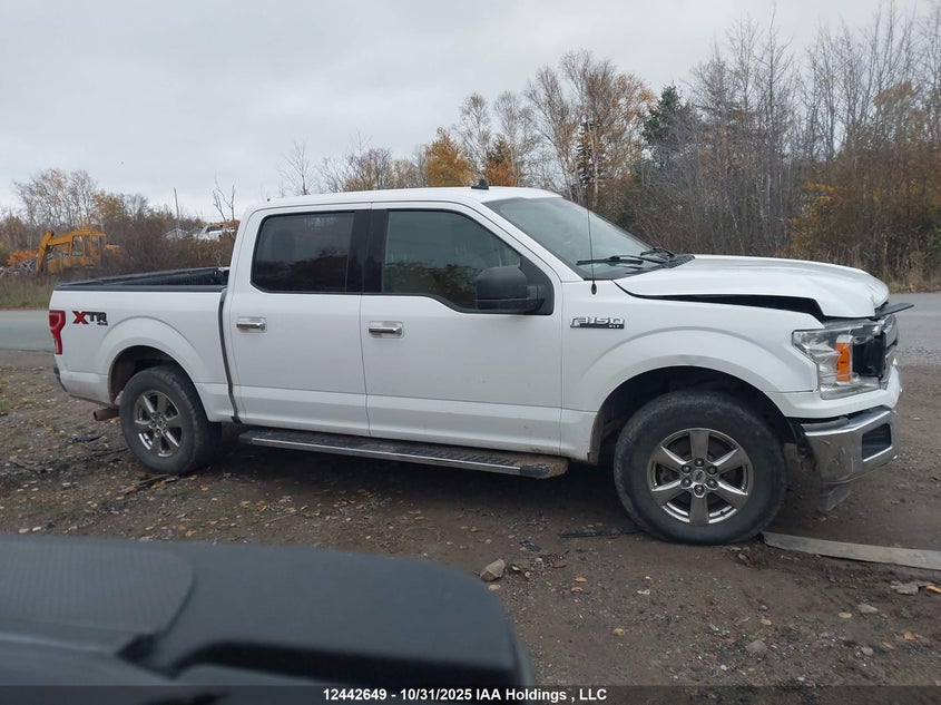 1FTEW1EBXKKF20444 2019 FORD F-150 photo no. 13