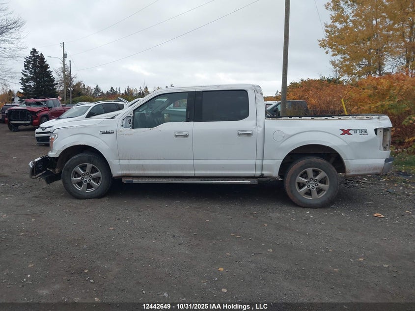 1FTEW1EBXKKF20444 2019 FORD F-150 photo no. 14