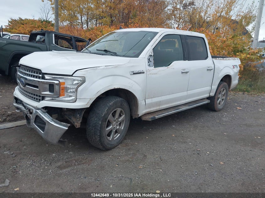 1FTEW1EBXKKF20444 2019 FORD F-150 photo no. 2