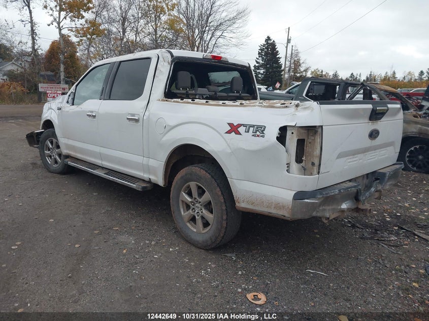 1FTEW1EBXKKF20444 2019 FORD F-150 photo no. 3
