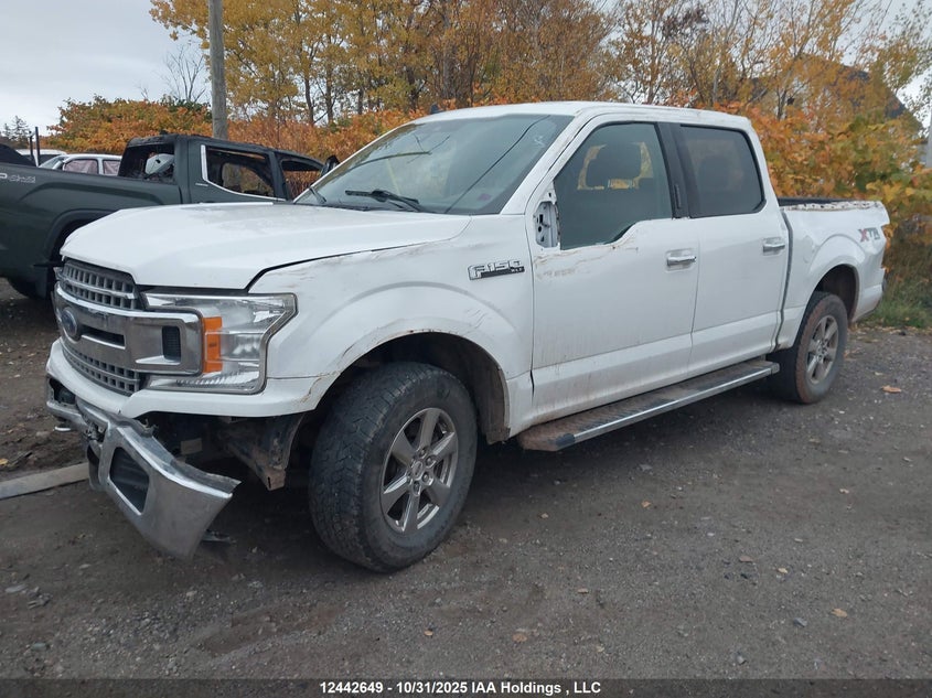 1FTEW1EBXKKF20444 2019 FORD F-150 photo no. 6