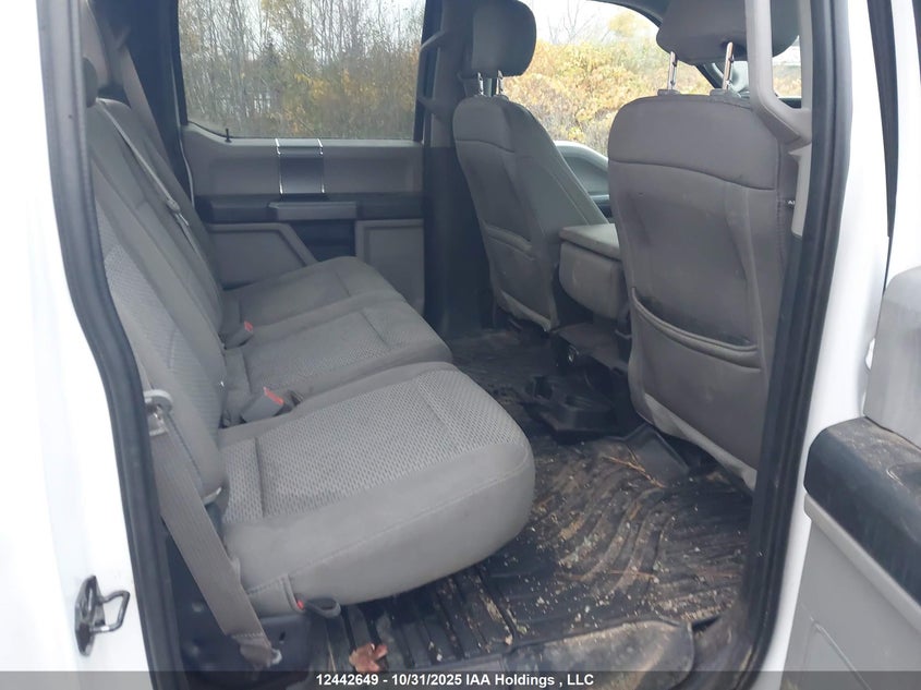 1FTEW1EBXKKF20444 2019 FORD F-150 photo no. 8