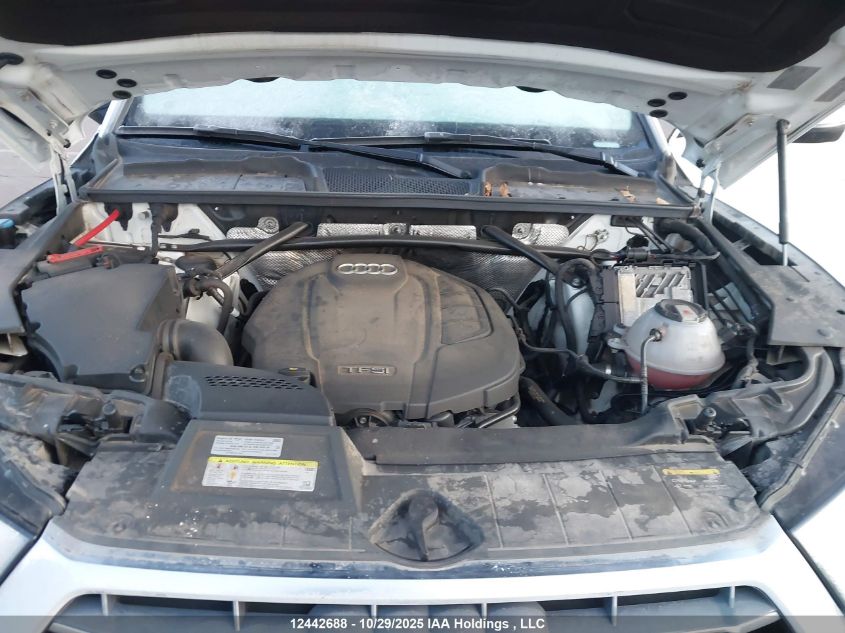 2019 Audi Q5 Technik S-Line VIN: WA1FNAFY9K2088871 Lot: 12442688