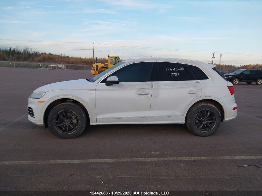 2019 Audi Q5 Technik S-Line VIN: WA1FNAFY9K2088871 Lot: 12442688