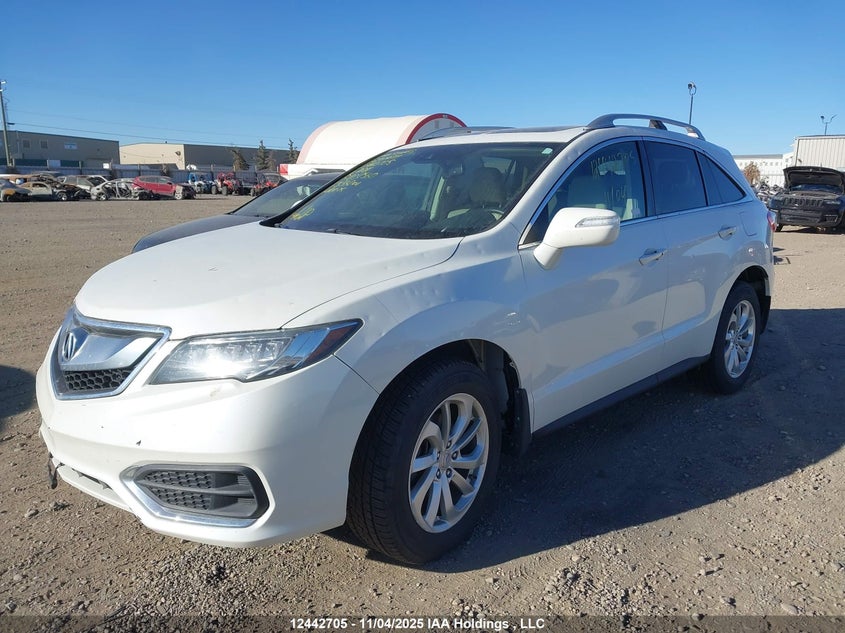 2016 Acura Rdx VIN: 5J8TB4H52GL802560 Lot: 12442705