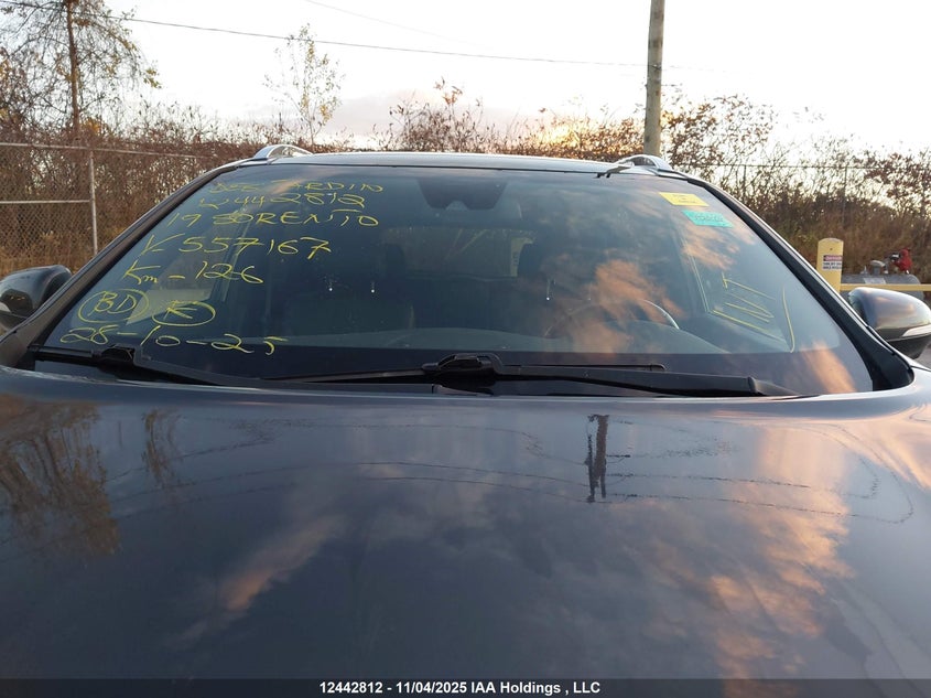 5XYPKDA53KG557167 2019 KIA SORENTO photo no. 17
