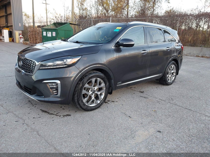 5XYPKDA53KG557167 2019 KIA SORENTO photo no. 2