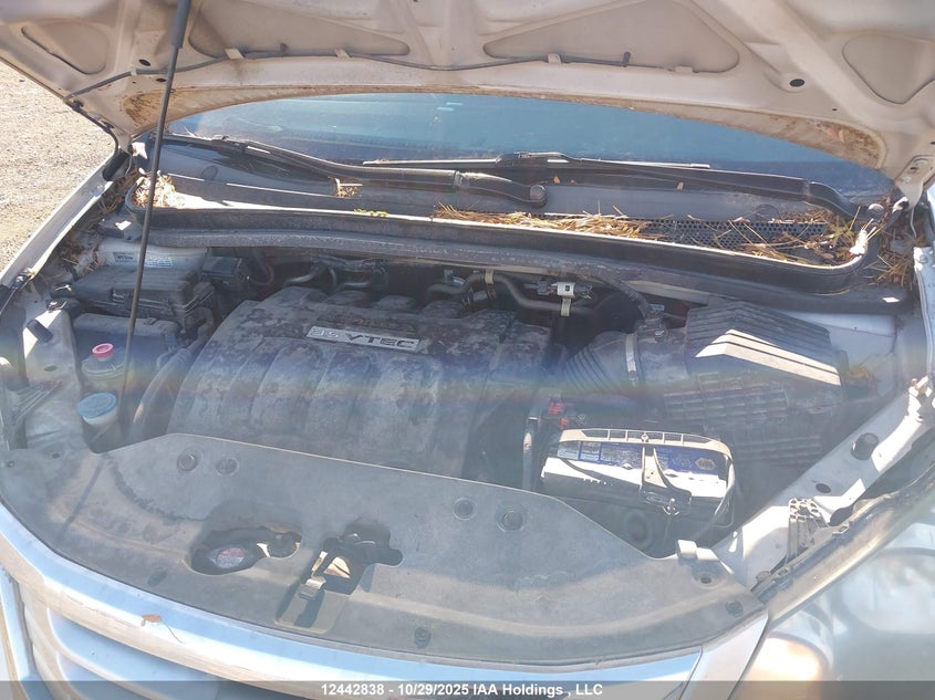5FNRL38428B507261 2008 HONDA ODYSSEY photo no. 10