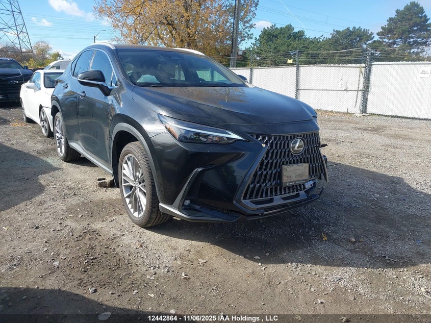 2T2GGCEZ8TC097053 2026 Lexus Nx Nx 350 auction photo 1