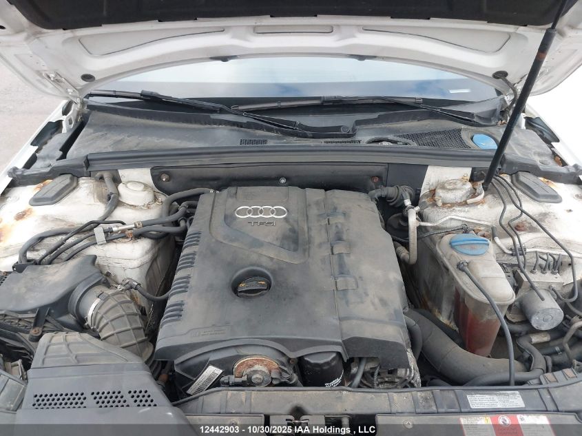 2010 Audi A4 Premium VIN: WAUBFCFL0AN050909 Lot: 12442903