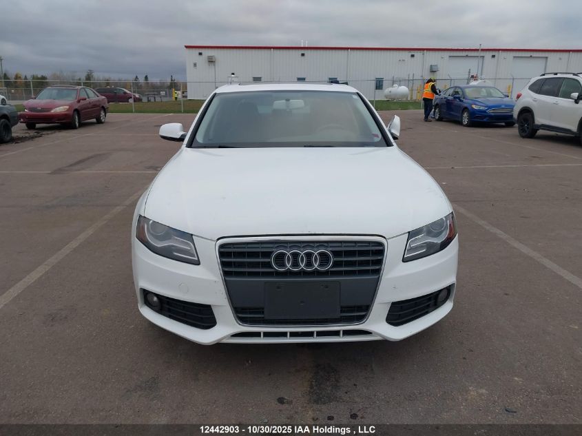 2010 Audi A4 Premium VIN: WAUBFCFL0AN050909 Lot: 12442903