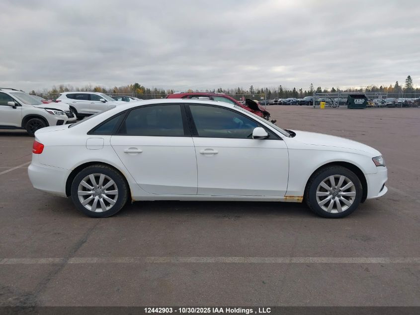 2010 Audi A4 Premium VIN: WAUBFCFL0AN050909 Lot: 12442903