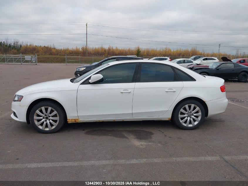 2010 Audi A4 Premium VIN: WAUBFCFL0AN050909 Lot: 12442903