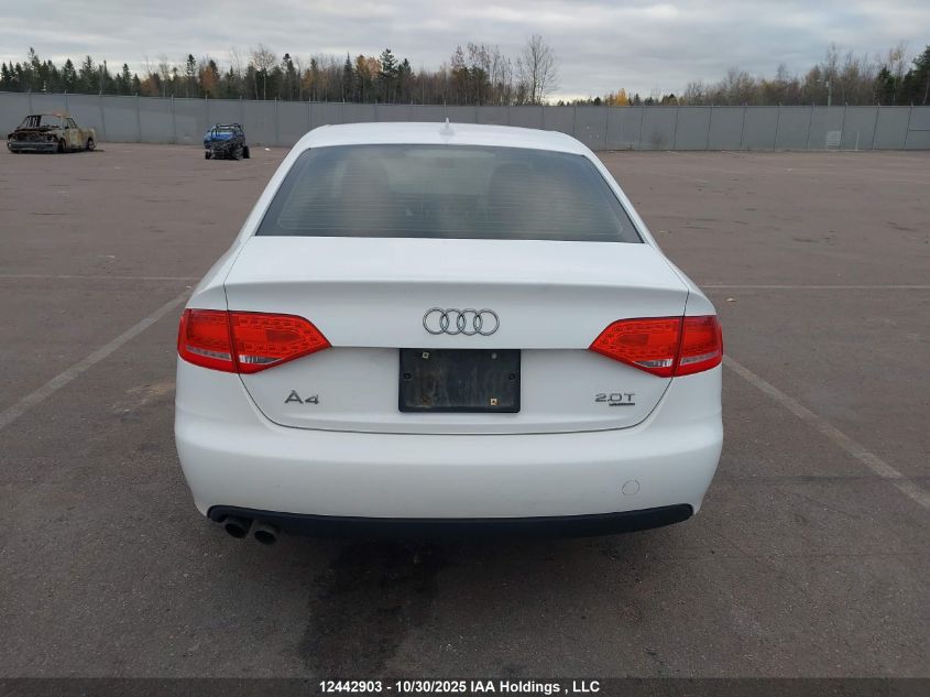 2010 Audi A4 Premium VIN: WAUBFCFL0AN050909 Lot: 12442903