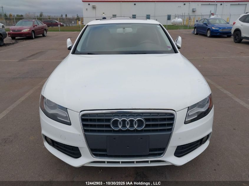 2010 Audi A4 Premium VIN: WAUBFCFL0AN050909 Lot: 12442903
